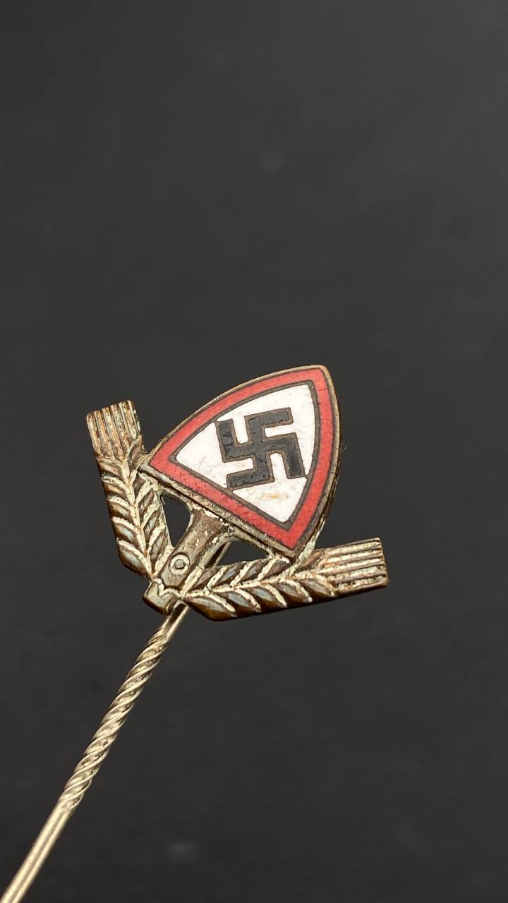 Знак Немецкой Трудовой Службы (Reichsarbeitsdienst der Manner) для мужчин.