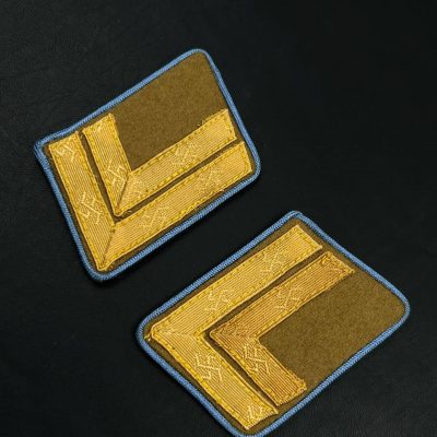 Петлицы Hauptstellenleiter НСДАП на районном уровне (Крайсляйтунг). От Алексея С:
