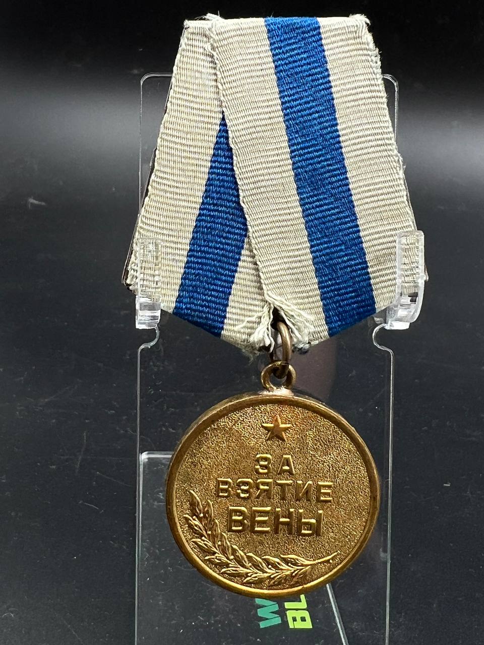 26. Вена. Паяное ухо.