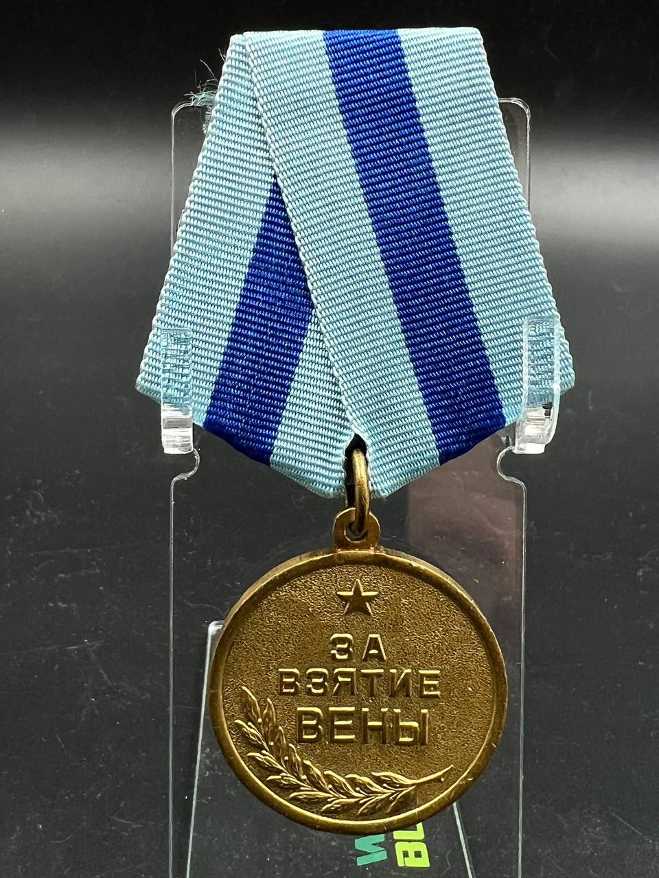 27. Вена. Сточенное ухо. Лента не родная.