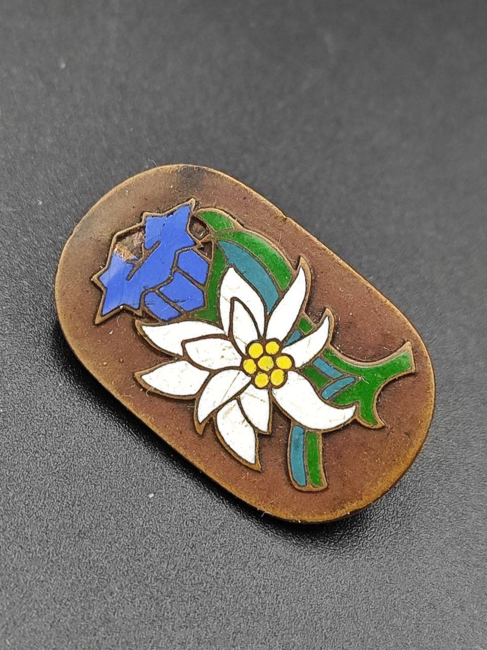 Традиционный знак на кепи Имперской трудовой службы (RAD).