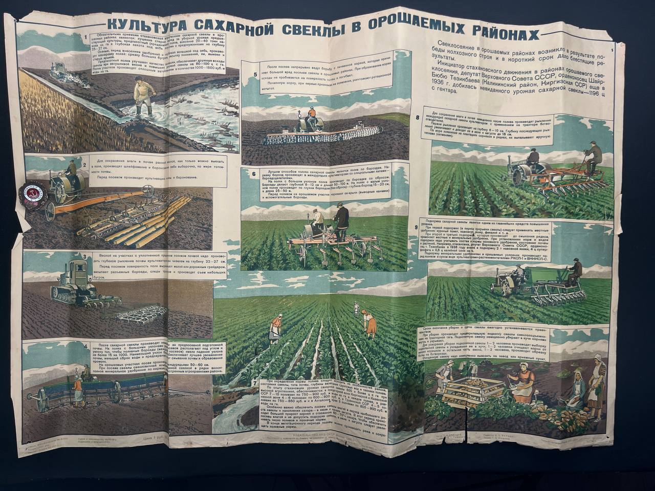 Плакат «Культура сахарной свеклы в орошаемых районах». 1940 г. От Алексея С.