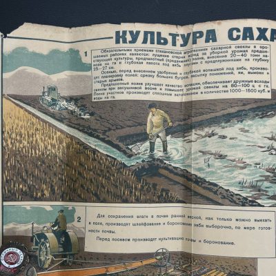 Плакат «Культура сахарной свеклы в орошаемых районах». 1940 г. От Алексея С.